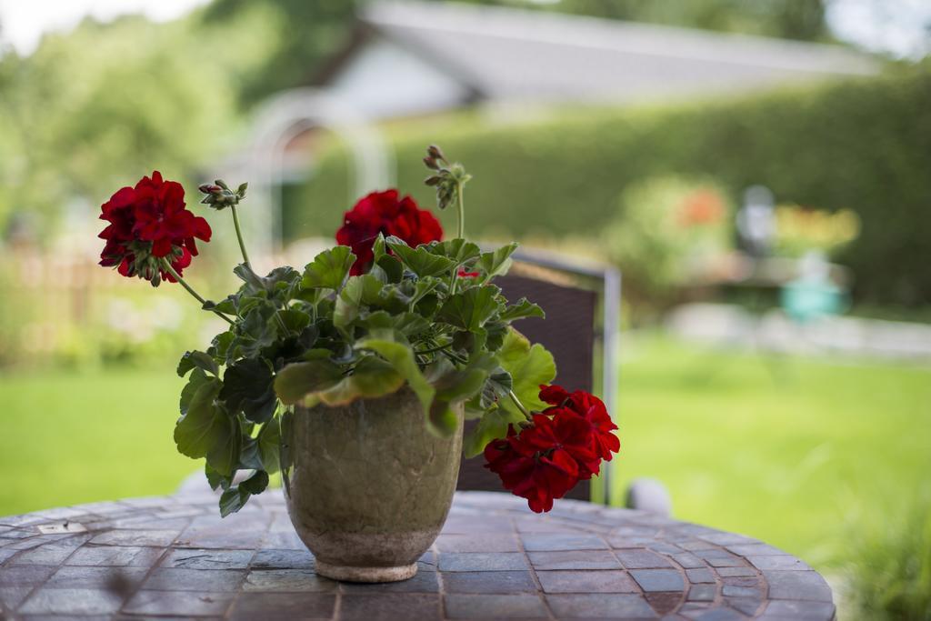Pension Wendelstein Miesbach Ngoại thất bức ảnh
